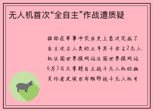 无人机首次“全自主”作战遭质疑